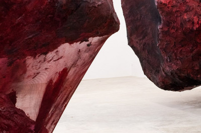 Anish Kapoor - 